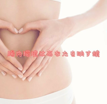 支持您的日常健康！食用米糠粉[Inahonome Premium]