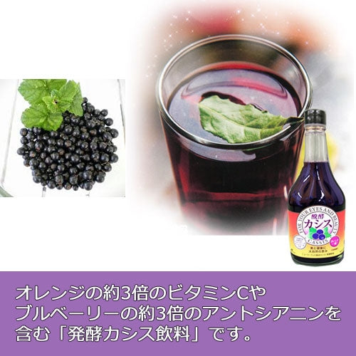 【JAFMACK】發酵黑醋栗飲料（5倍稀釋／1,800毫升） 富含多酚 天然食品