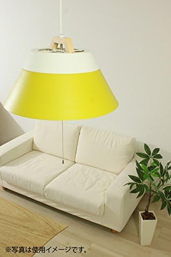 2TONE 3BULB 吊燈