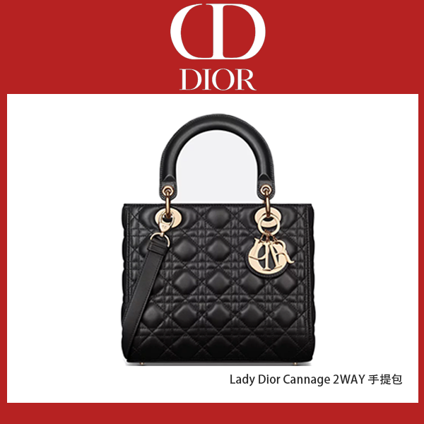 Lady Dior Cannage 2WAY 手提包
