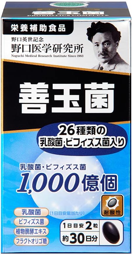 野口醫學研究所 好菌 60 片/補充劑