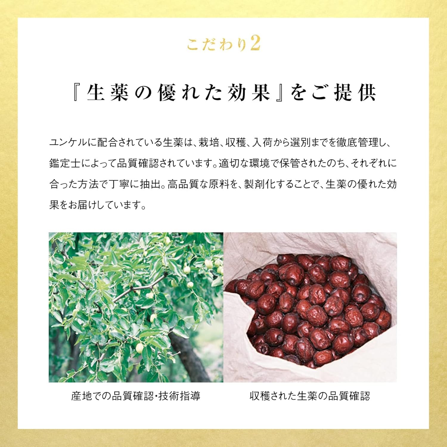 Yunkel Royal200 100毫升×10瓶 (指定准药品) 缓解疲劳、预防 维持身体阻力