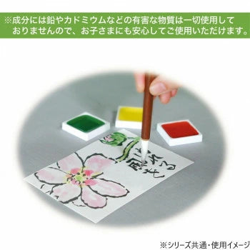 乾賽12色盒裝 FW001S