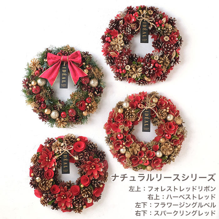 CM 天然花圈聖誕快樂