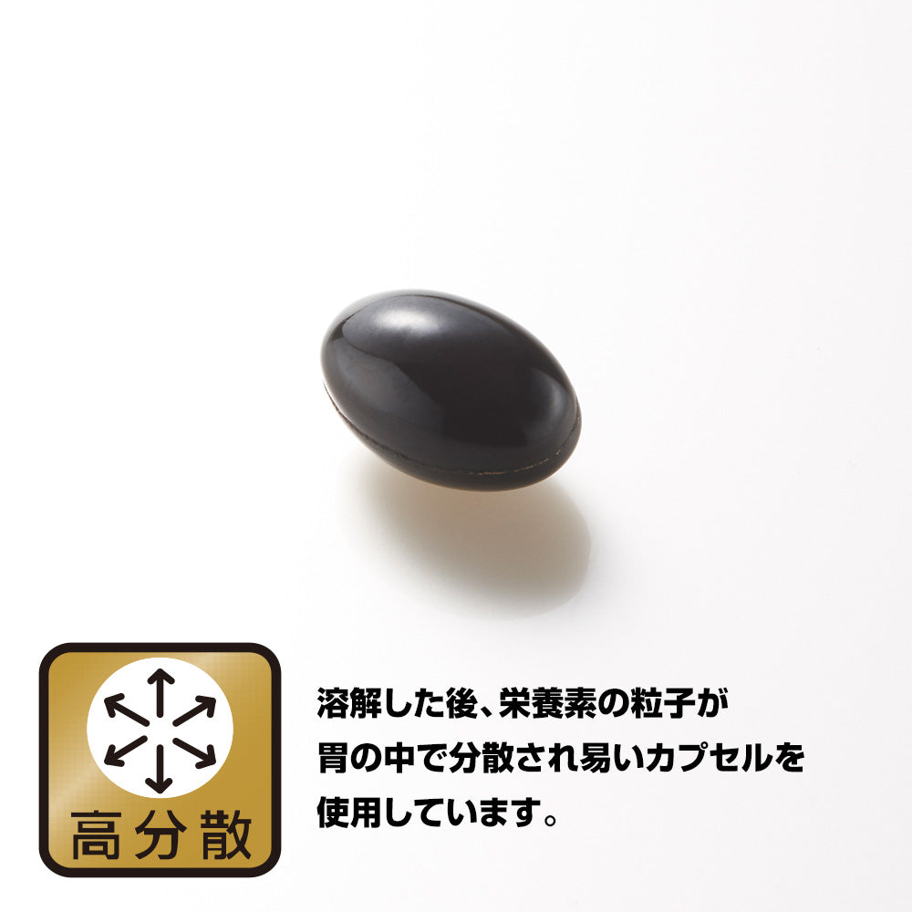 野口醫學研究所 銀杏葉 & DHA/EPA 60 片 / 補充劑