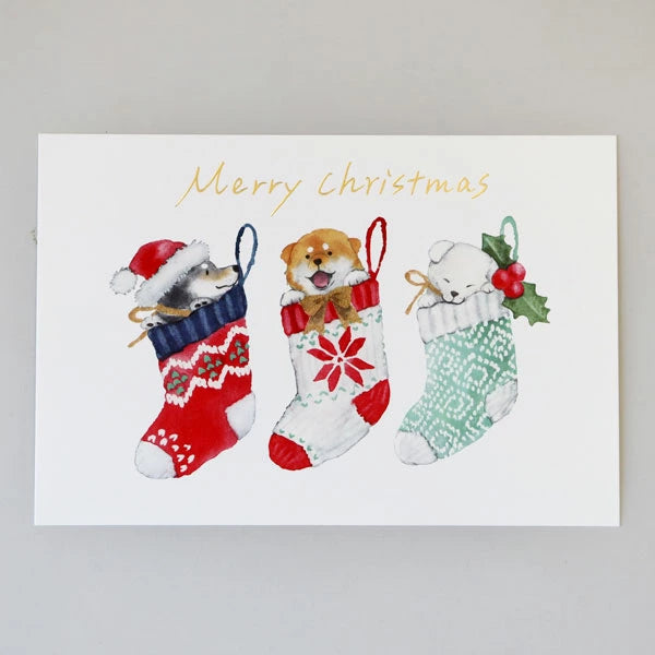聖誕柴犬和聖誕明信片 CMP-388