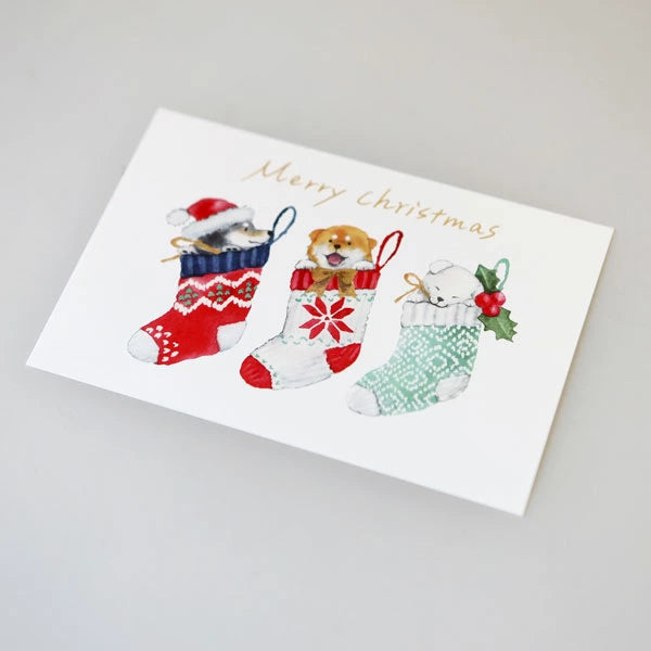聖誕柴犬和聖誕明信片 CMP-388