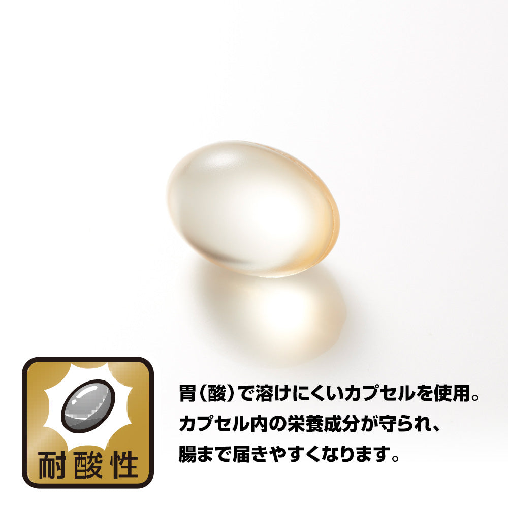 野口醫學研究所鯊魚肝油90片/補充劑